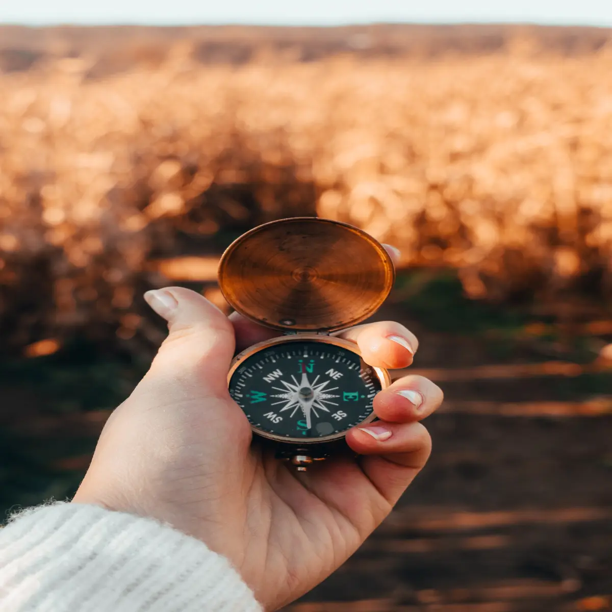 https://unsplash.com/photos/aY7VTXi9fvI?utm_source=unsplash&utm_medium=referral&utm_content=creditShareLink