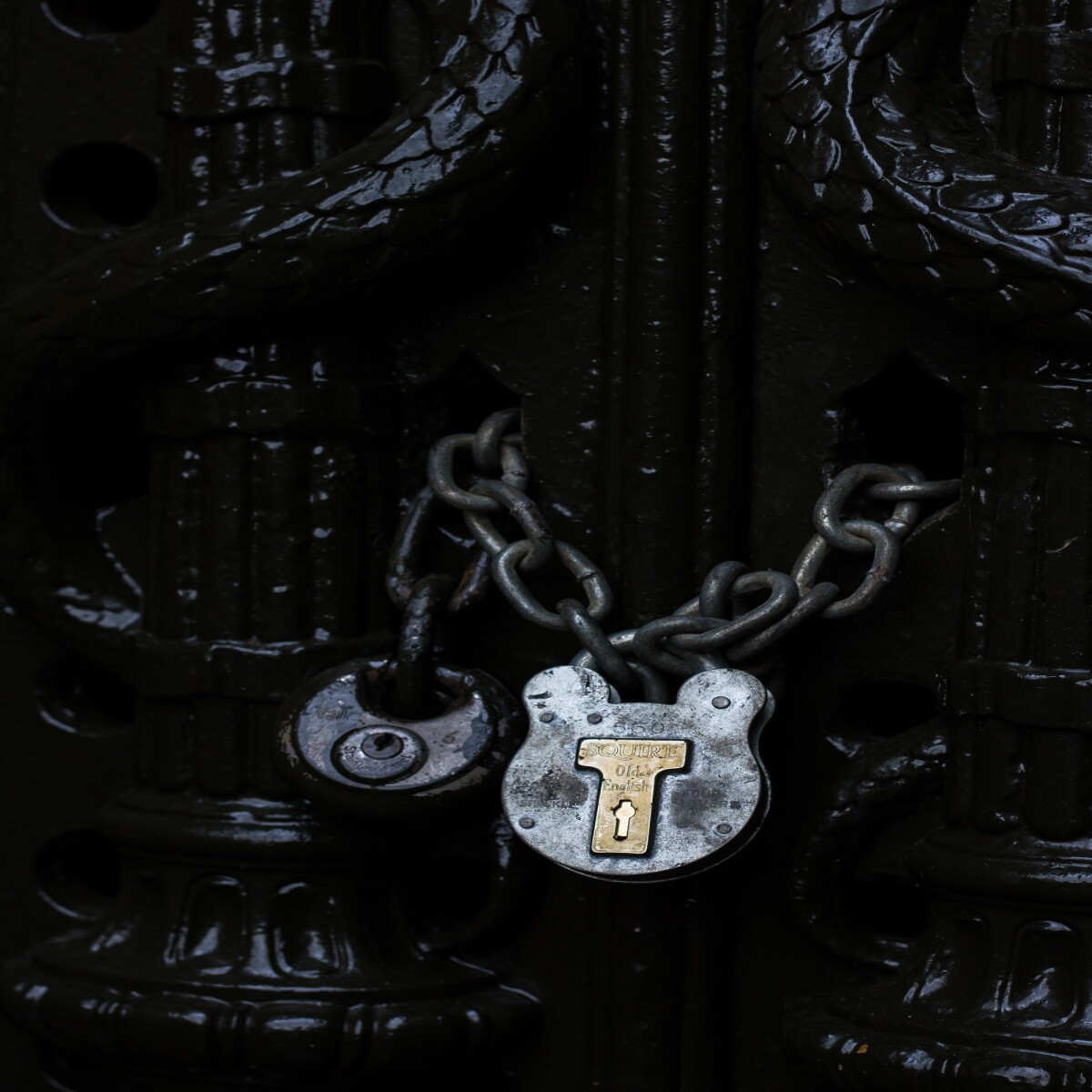 https://unsplash.com/photos/ST0qjCiHePM?utm_source=unsplash&utm_medium=referral&utm_content=creditShareLink