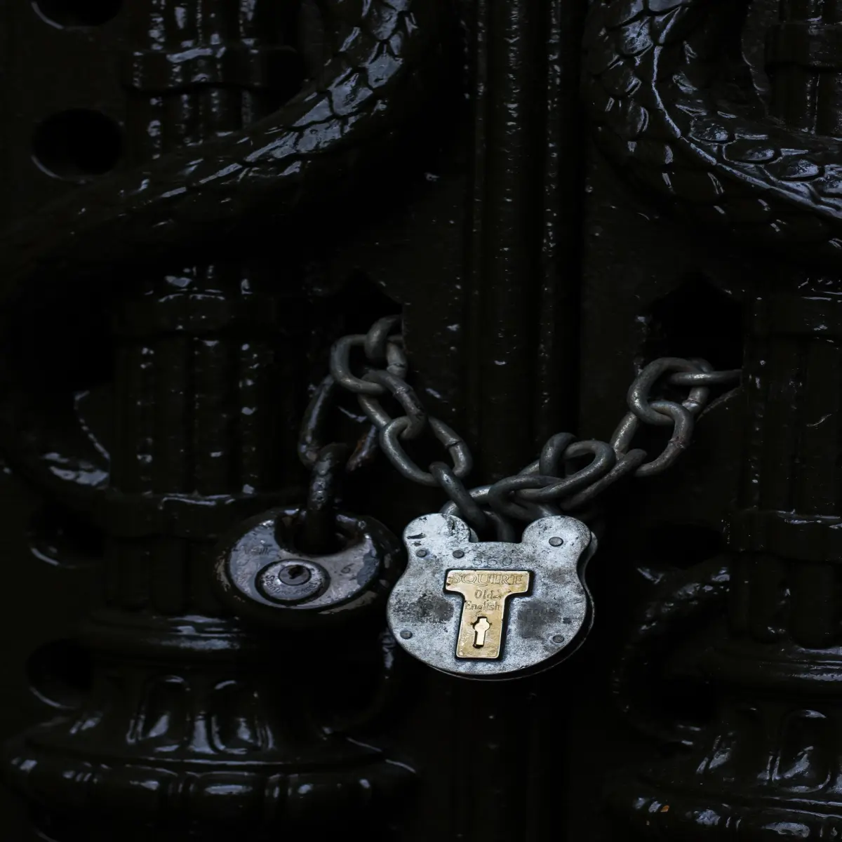 https://unsplash.com/photos/ST0qjCiHePM?utm_source=unsplash&utm_medium=referral&utm_content=creditShareLink