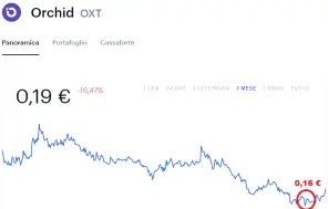 Orchid_Down