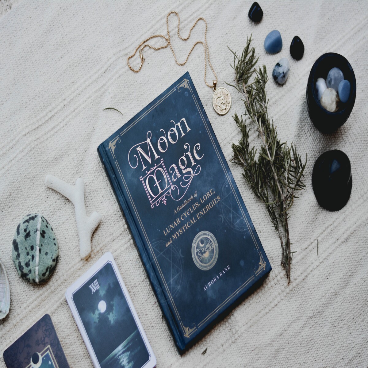 https://unsplash.com/photos/pMKm9pybnTE?utm_source=unsplash&utm_medium=referral&utm_content=creditShareLink
