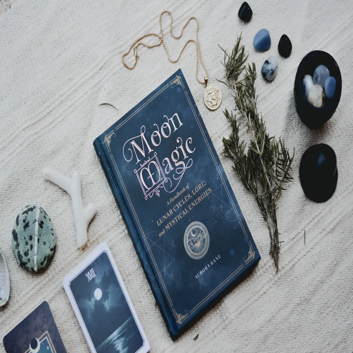 https://unsplash.com/photos/pMKm9pybnTE?utm_source=unsplash&utm_medium=referral&utm_content=creditShareLink