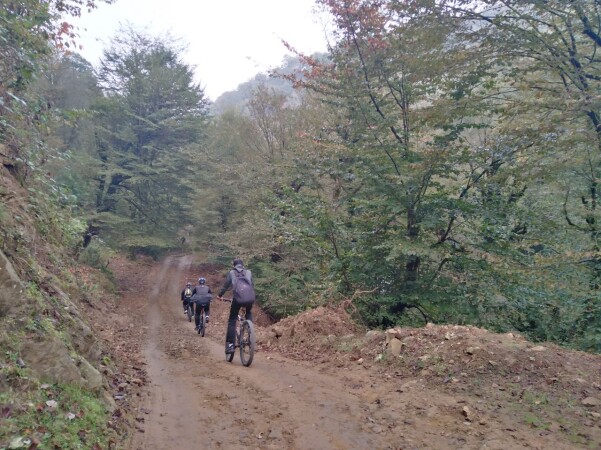 Girl Cycling, Kish Dibi Talesh, Gilan, Iran- (Mardovan Mahale)