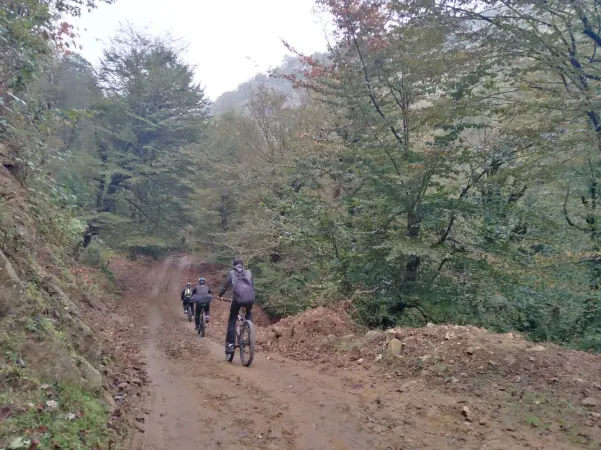 Girl Cycling, Kish Dibi Talesh, Gilan, Iran- (Mardovan Mahale)