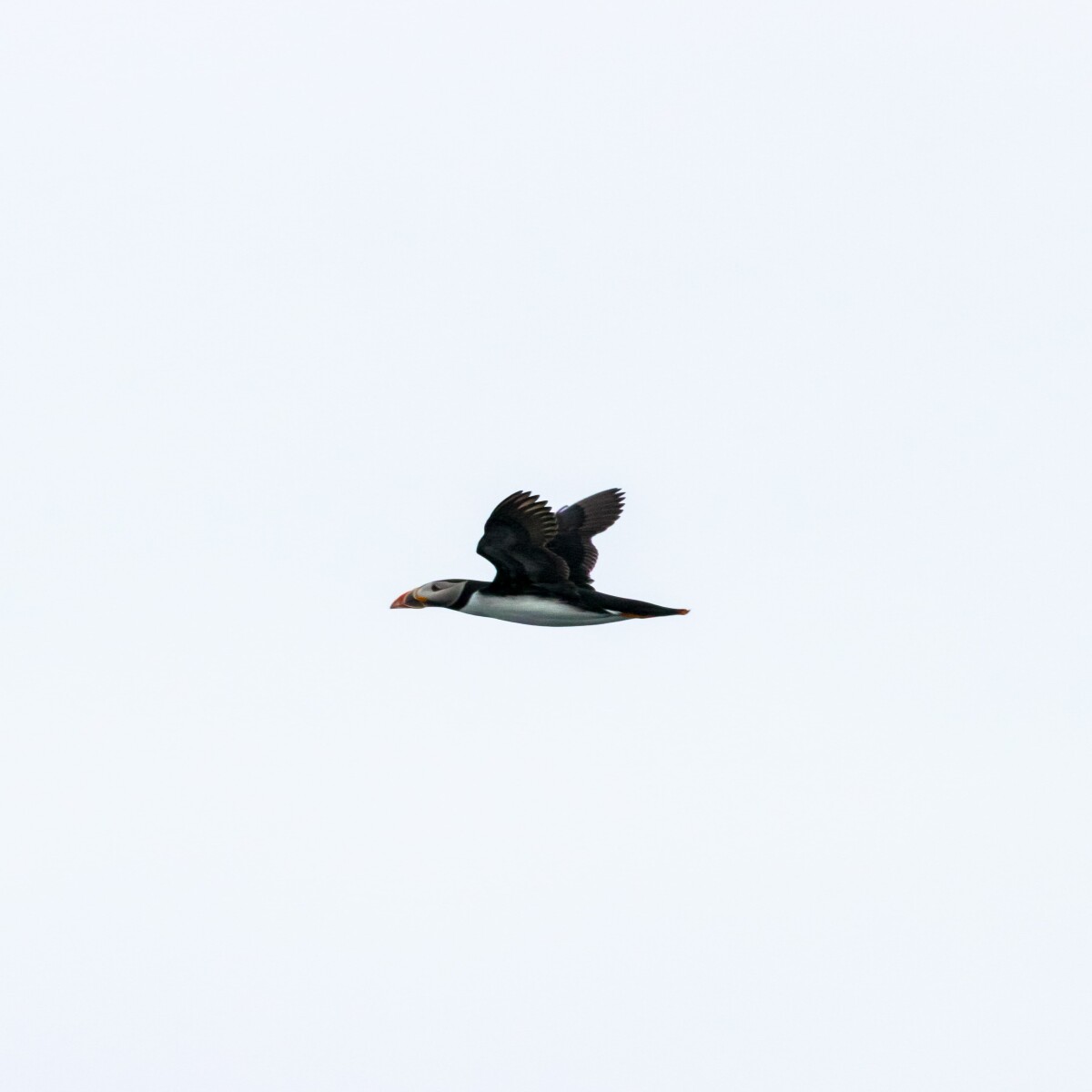 https://unsplash.com/photos/MHwOy4hKF-k?utm_source=unsplash&utm_medium=referral&utm_content=creditShareLink