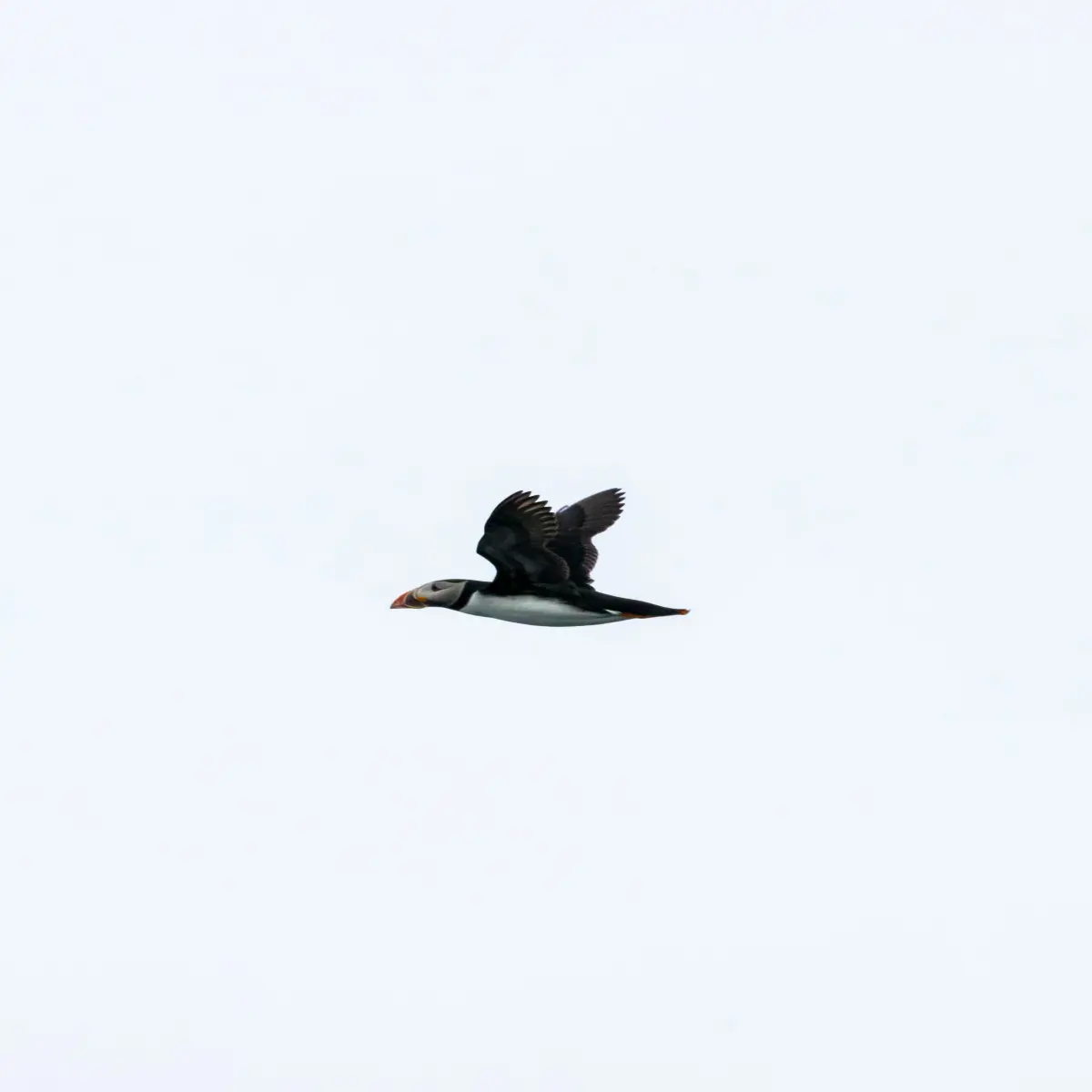 https://unsplash.com/photos/MHwOy4hKF-k?utm_source=unsplash&utm_medium=referral&utm_content=creditShareLink