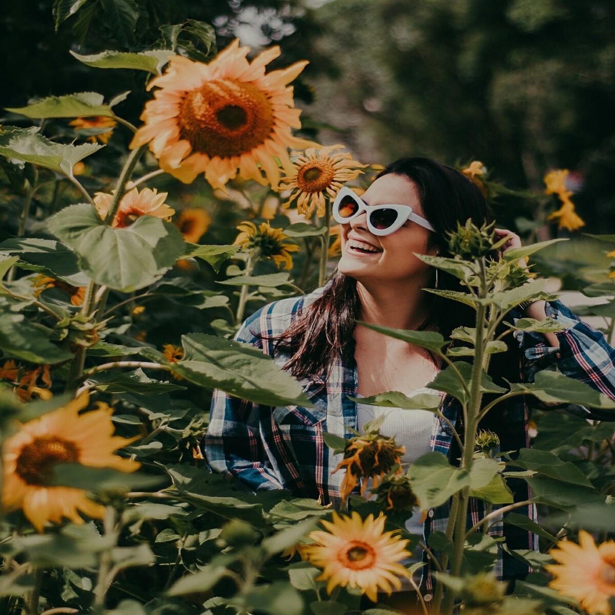 https://unsplash.com/photos/tIkqoz4_lho?utm_source=unsplash&utm_medium=referral&utm_content=creditShareLink