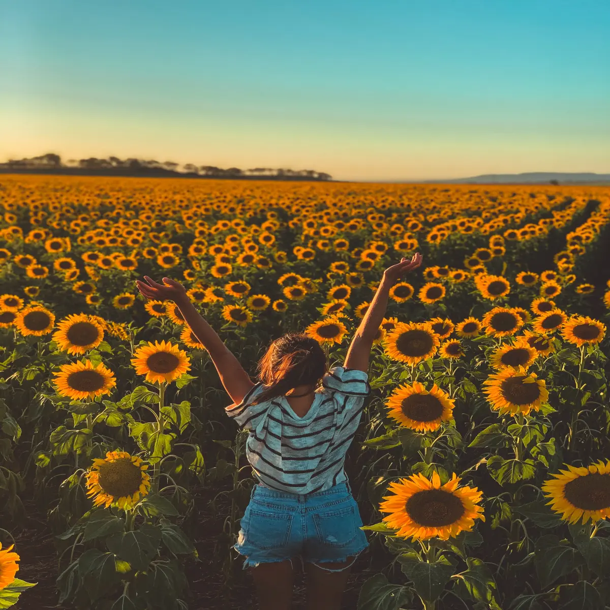 https://unsplash.com/photos/AvOUmlZZMyY?utm_source=unsplash&utm_medium=referral&utm_content=creditShareLink