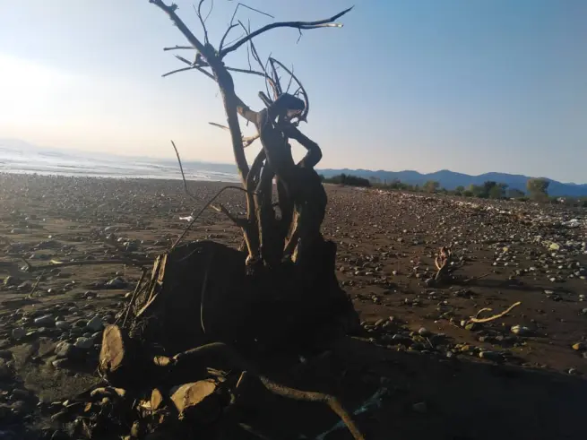 Cycling by The Beach in Iran, flood, nature,