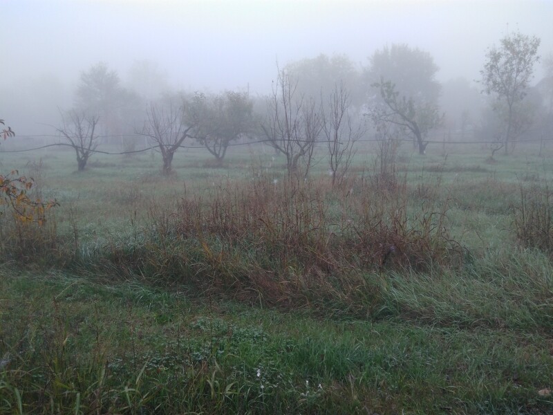 4fa6406bcd1b574febad3a6b073b4d03895b89cb3a9d9c5bb7923ebde4e90772.jpeg