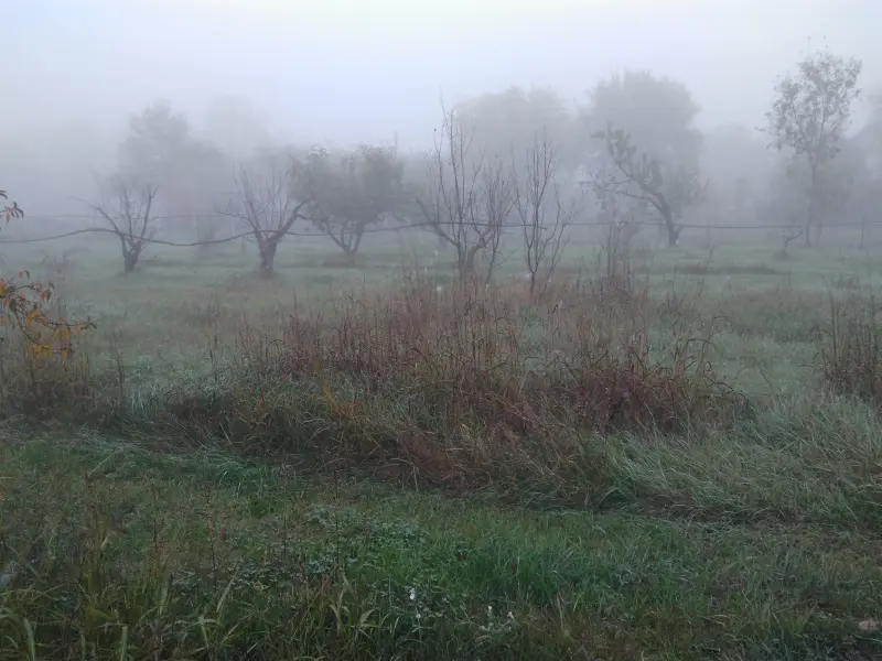 4fa6406bcd1b574febad3a6b073b4d03895b89cb3a9d9c5bb7923ebde4e90772.jpeg