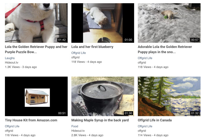 351665157-5cf675d82adfc6a424cc6152cca0af481d145fff95cb0f1f83ac7fb1589af586.jpeg