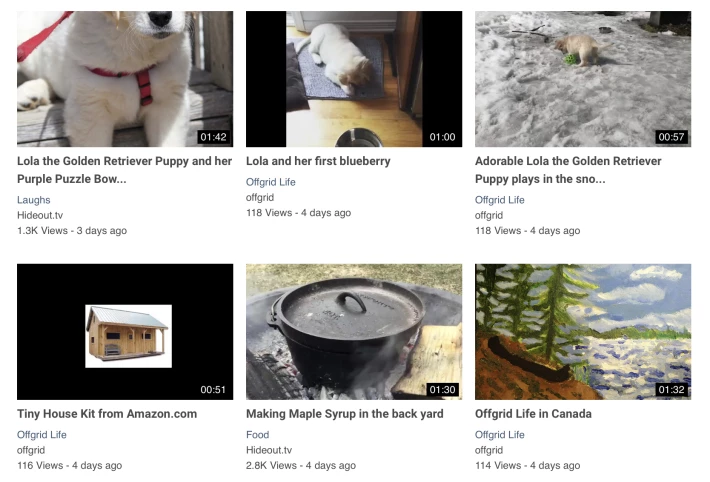 351665157-5cf675d82adfc6a424cc6152cca0af481d145fff95cb0f1f83ac7fb1589af586.jpeg