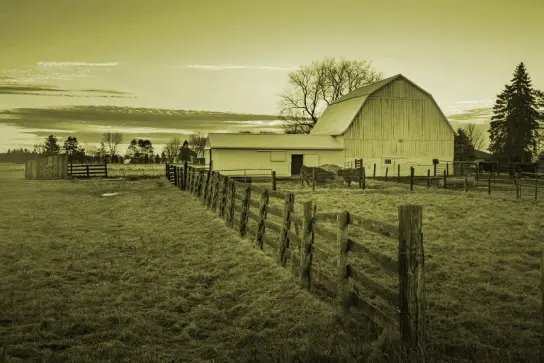 homestead in montana