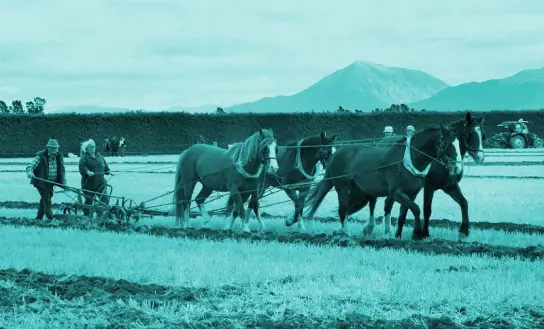 an old plough