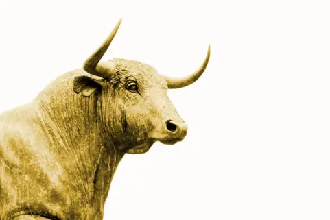 bull by Hans Eiskonen