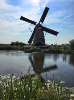 View of windmills