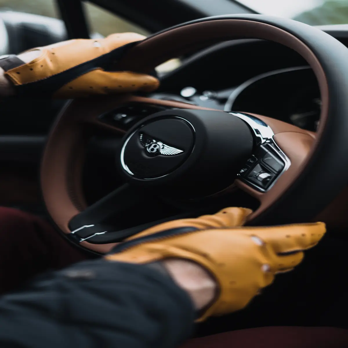 https://unsplash.com/photos/VszRkxdJiD4?utm_source=unsplash&utm_medium=referral&utm_content=creditShareLink