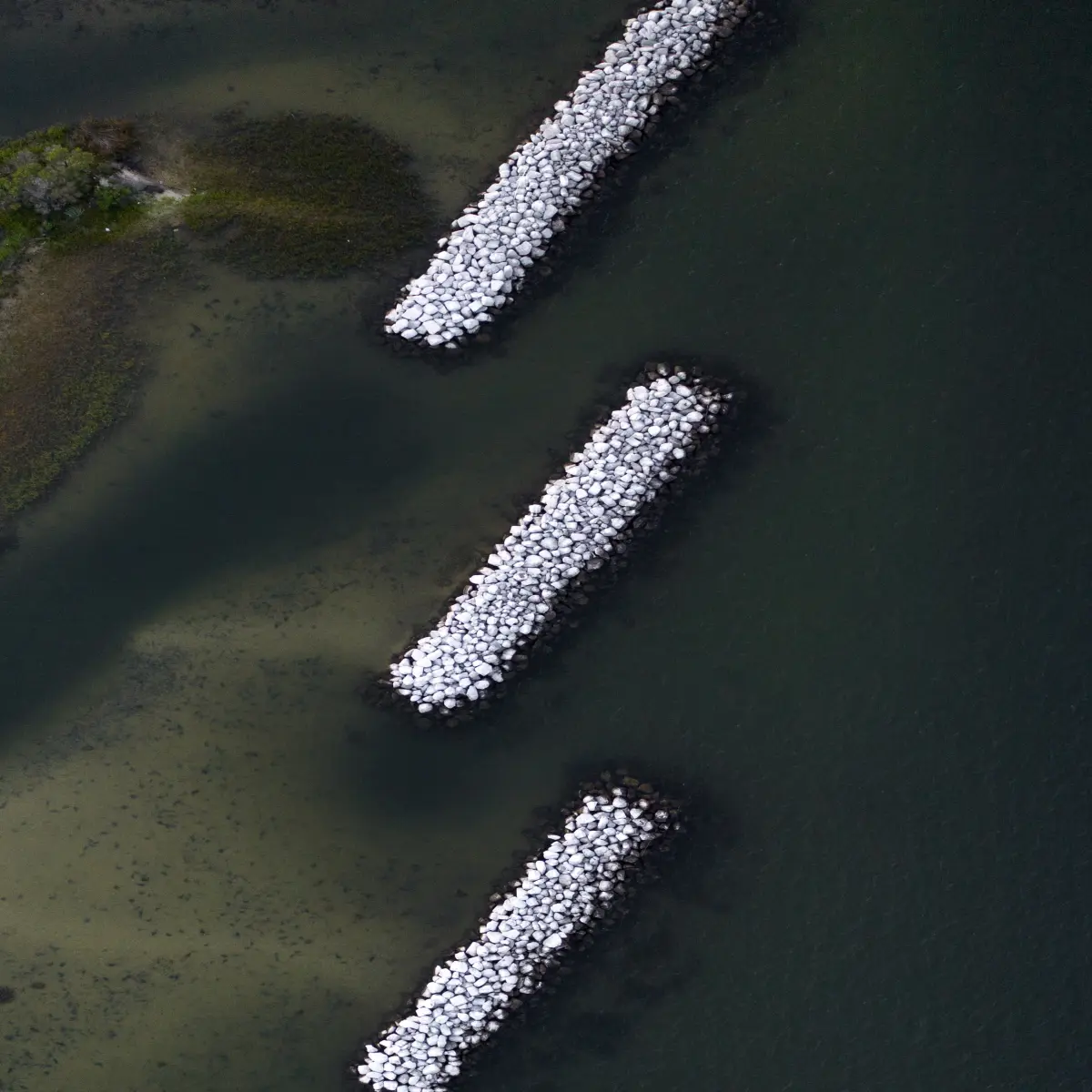 https://unsplash.com/photos/hy1SKtwzebI?utm_source=unsplash&utm_medium=referral&utm_content=creditShareLink