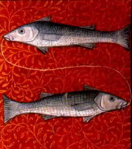 Pisces basic