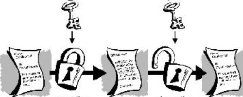 351665157-ebde209ac6a162335829adddd432320a84796ae69fbea9a4cbf3a33428390729.png