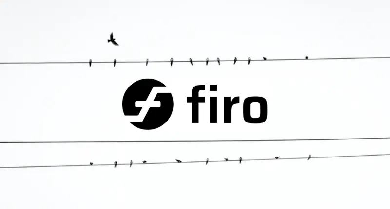 firo financial privacy