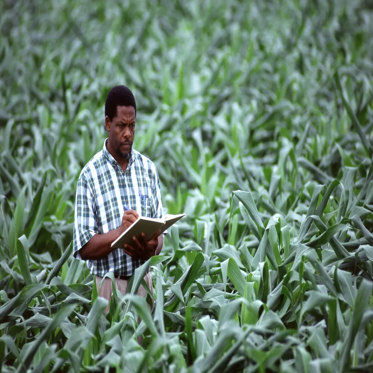 Develop a Plan (Image from Beginning Farmers)