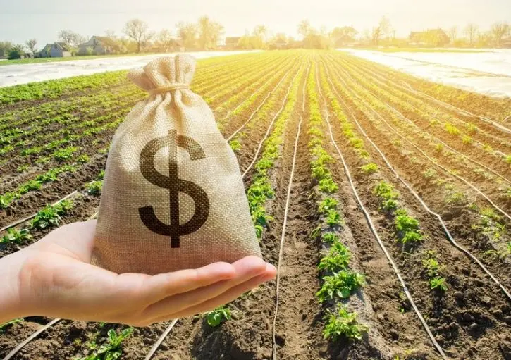 Manage your Profits (Image from Dreamstime)