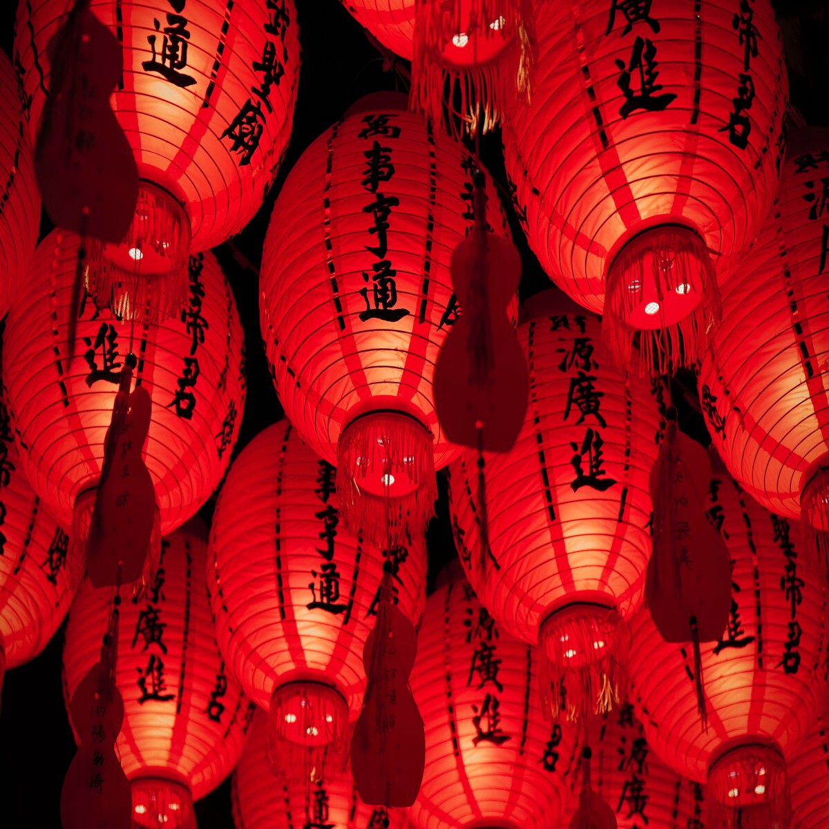 https://unsplash.com/photos/3JFVNo4ukKQ?utm_source=unsplash&utm_medium=referral&utm_content=creditShareLink