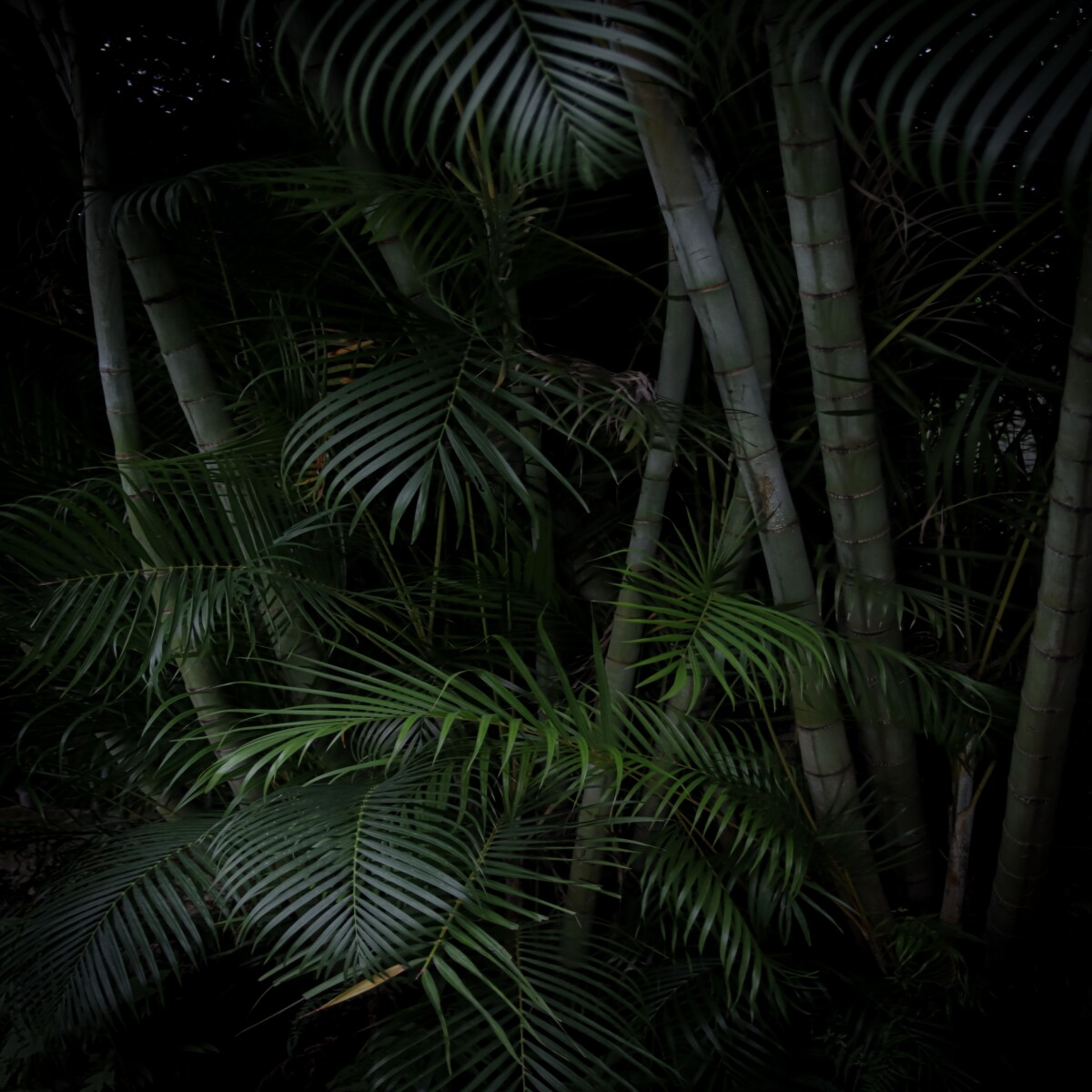 https://unsplash.com/photos/VOqdPqaEBCk?utm_source=unsplash&utm_medium=referral&utm_content=creditShareLink