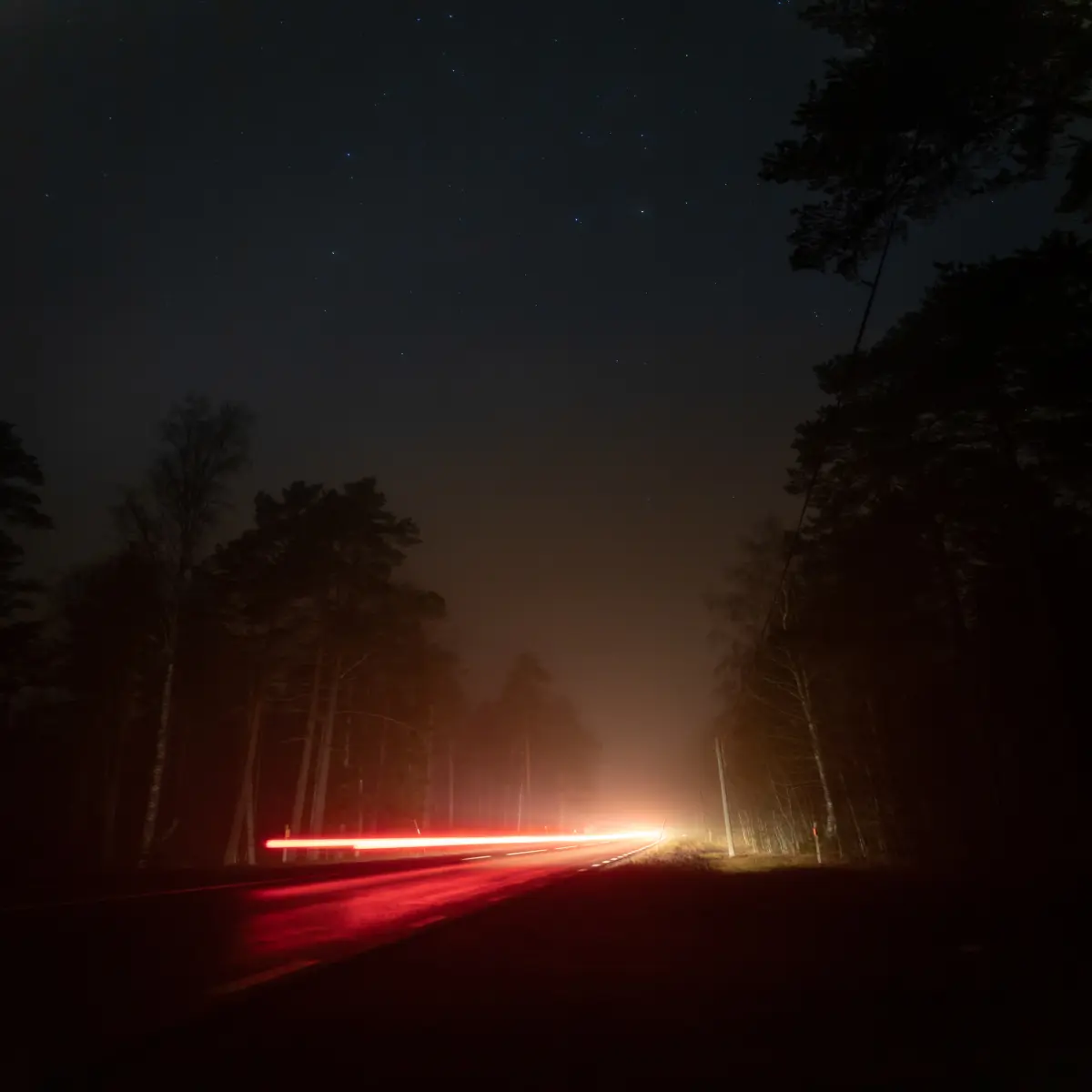 https://unsplash.com/photos/jbhTftkGvUM?utm_source=unsplash&utm_medium=referral&utm_content=creditShareLink