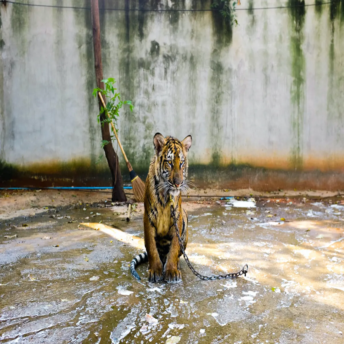 https://unsplash.com/photos/YohwNrt3Caw?utm_source=unsplash&utm_medium=referral&utm_content=creditShareLink