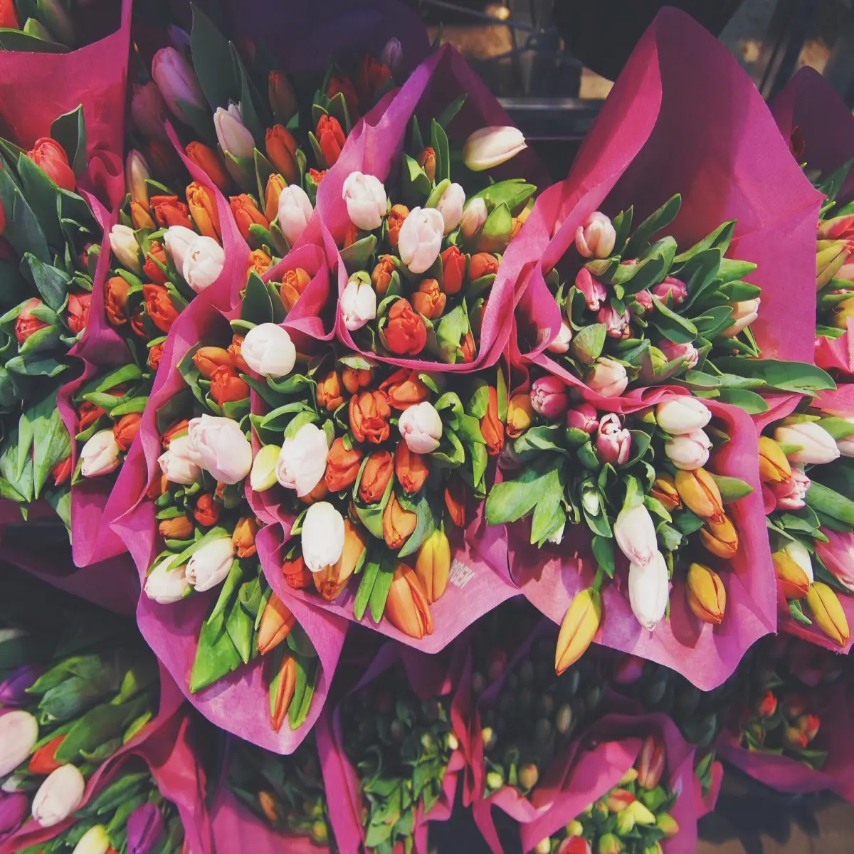 https://unsplash.com/photos/P1X0750vHdQ?utm_source=unsplash&utm_medium=referral&utm_content=creditShareLink