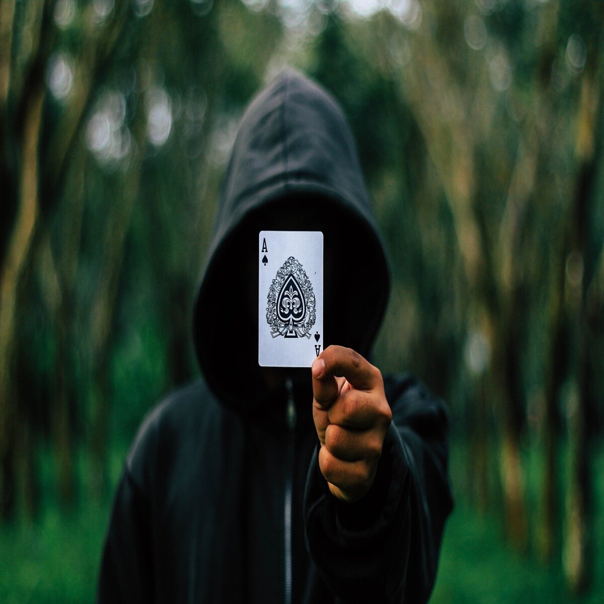 f376ef43c67166d614b261753c3bd7d664dff06353b822c31704be4cfbc4b060.jpeg