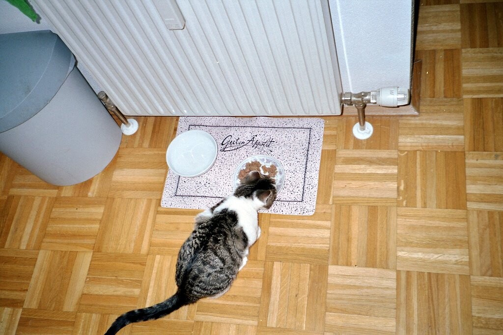 Mahlzeit