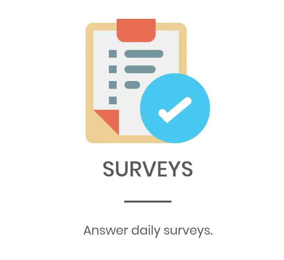 Survey Icon