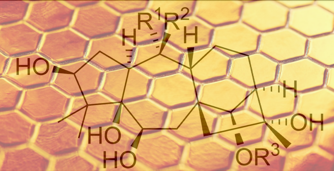 Mad honey