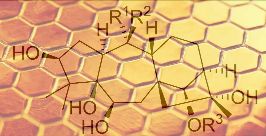 Mad honey