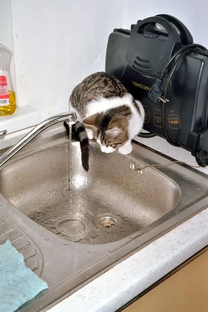 Wasser