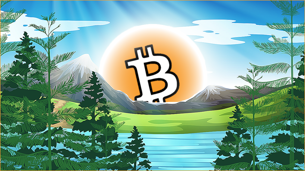 trevor balthrop bitcoin ethereum fintech blockchain analysis market whale