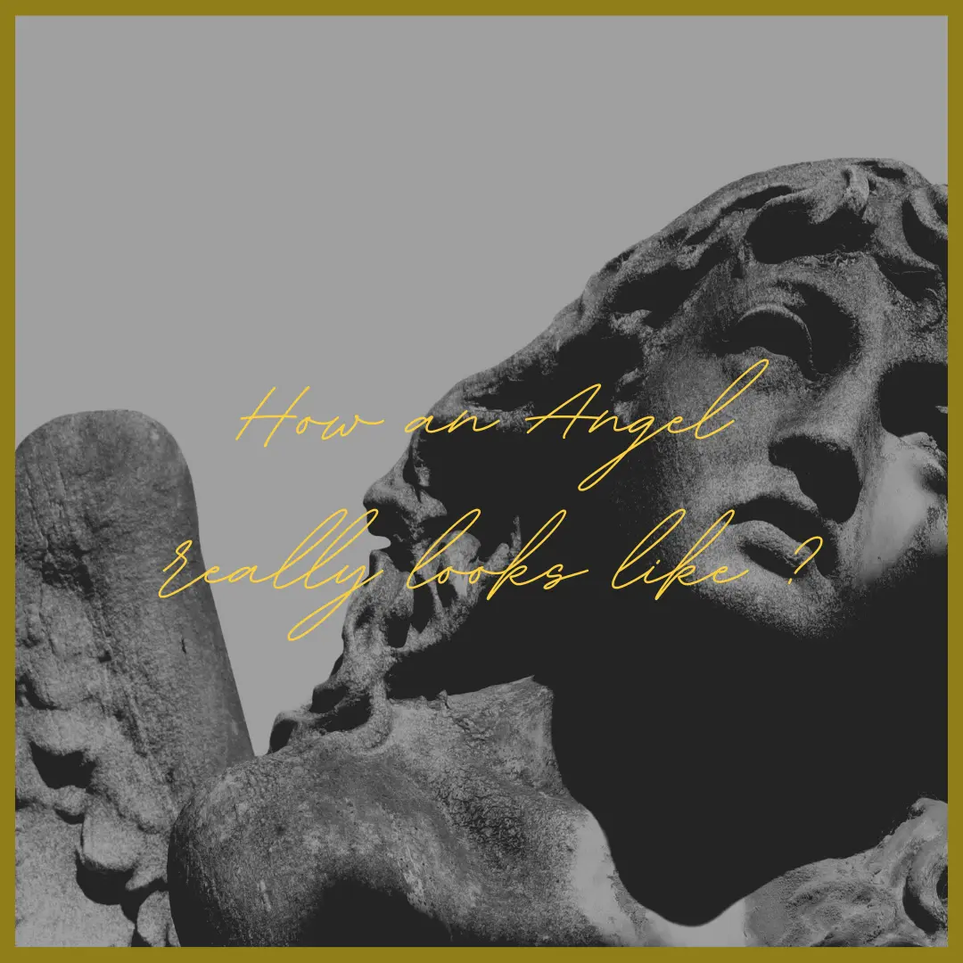 How Angels looks Like?