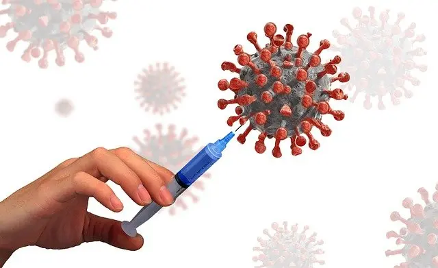 covid19 vaccine, coronavirus, india, medical, health