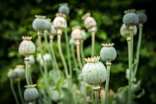 07ac9dc3075dc3dbf90bf85ad6b29f6dccf6f0bb542ca43d2429e499993db04f.jpeg