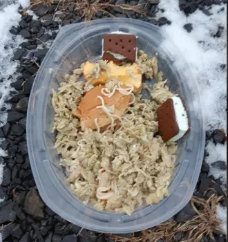 Leftovers