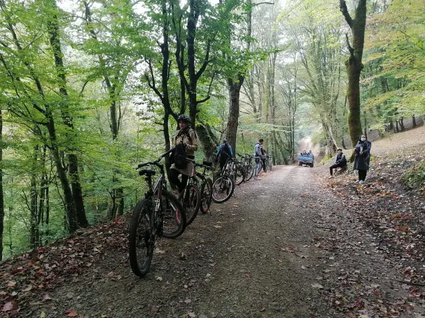 Sport, Cycling, Photography of Nature