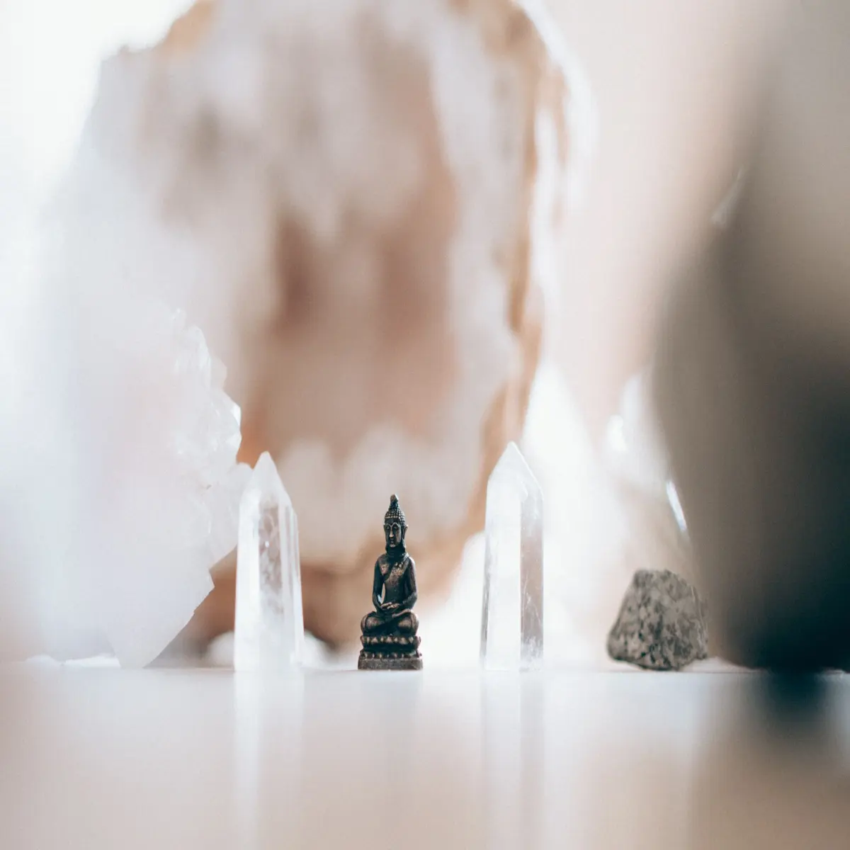https://unsplash.com/photos/S_TIOyYuiJI?utm_source=unsplash&utm_medium=referral&utm_content=creditShareLink