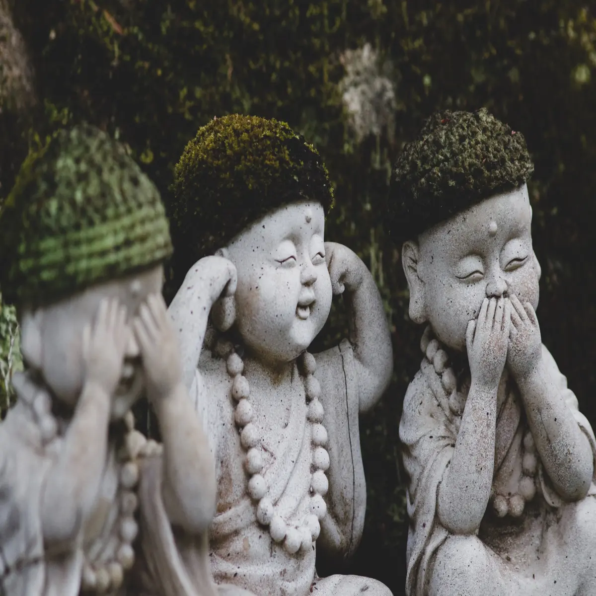 https://unsplash.com/photos/qJs0uFz6urU?utm_source=unsplash&utm_medium=referral&utm_content=creditShareLink