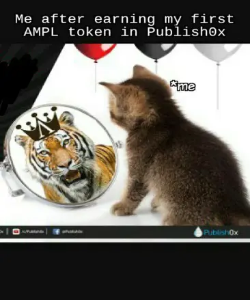 #AMPLMeme