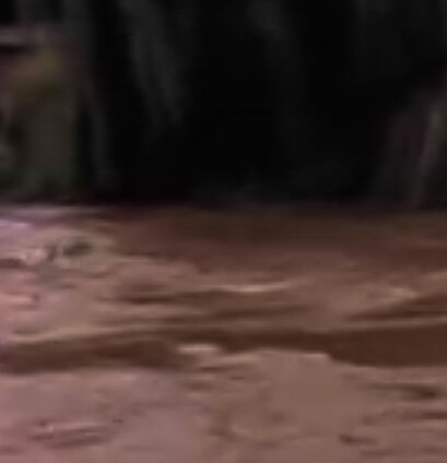 b20c62ba233b184f441b7241ba9494834b0d49d08e825becb7f537651156a526.jpeg