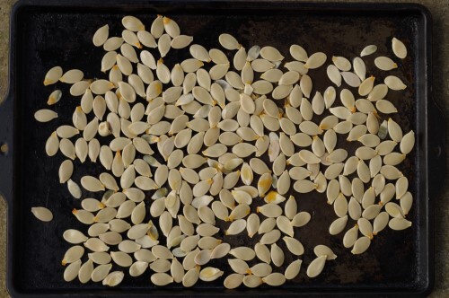 Raw pumpkin seeds on cookie sheet